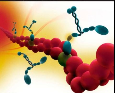 Biochemistry I	